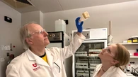 Científicos diseñan moscas cocainómanas mediante edición genética (y tienen buenas razones)