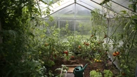 Lo tiras (casi) todos los días y podría mejorar el crecimiento de tus plantas