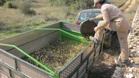 La presión fiscal, las cotizaciones y el SMI destruyen 46.000 empleos autónomos en agricultura, hogar y comercio en un año