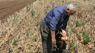 ¿A qué edad se pueden jubilar los agricultores?