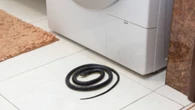 Víboras en casa: este es el lugar exacto donde se refugian durante la ola de calor
