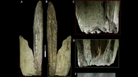 Encuentran una "navaja suiza" de 130.000 años, pero no la hizo nuestra especie
