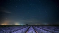 Noche de Perseidas 2025: los lugares de España donde se verán mejor