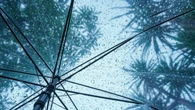 La AEMET avisa de un cambio radical del tiempo en España: lluvias (mm/h) y descenso de temperaturas
