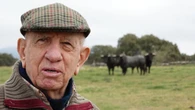 Las Ventas abre sus puertas para honrar los 60 años de Victorino Martín