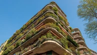 Repele mosquitos y decora tu balcón: la planta ideal para esta temporada