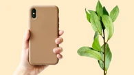 ¿Por qué hay que poner una hoja de laurel en la funda del móvil? El motivo te va a sorprender