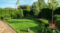 Qué no cultivar en el jardín: un jardinero revela los 5 árboles que causan más problemas que beneficios