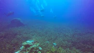 Durante milenios, los terremotos nos han aterrado, pero en el fondo submarino sirven como una batería para la vida