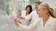 El Pozo Alimentación clausura con éxito sus Grupos de Mejora con más de 200 ideas innovadoras