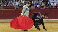 Un bravo toro de La Palmosilla levanta un largo y vacío concurso de ganaderías en Zaragoza