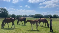 Xavi Figueras: "Creamos hoy el caballo del mañana"
