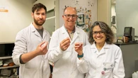 Gominolas valencianas impresas en 3D para combatir carencias nutricionales