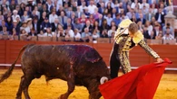 El idilio continúa: Escribano, dos trofeos de un gran toro de Victorino de vuelta al ruedo