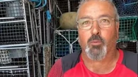 Un pescador gallego estalla contra la corrupción en España: "Trabajo 14 horas al día, no como los políticos"