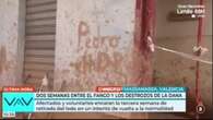 La reportera de Telecinco pide perdón por su fallo garrafal con la pintada de 