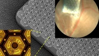 Una prótesis de retina proporciona visión artificial a ratones ciegos