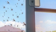 Adiós a los mosquitos: el producto por menos de 15 euros que da muy buenos resultados