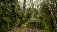 Un explorador se adentra en el bosque y encuentra una ciudad congelada en los años 90: parece una serie postapocalíptica, pero es real