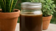 El abono casero que potencia la floración de tus plantas: solo necesitas 5 ingredientes