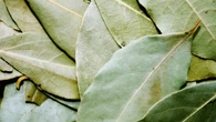 Dónde hay que poner hojas de laurel en casa para atraer la abundancia, según el Feng Shui