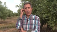 "A esto lo llamo yo dictadura": las lágrimas de un agricultor tras la expropiación de su finca por una planta fotovoltaica