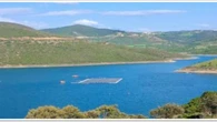 Marruecos inaugura la primera planta de energía solar flotante