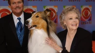 Muere June Lockhart, famosa por sus papeles en "Lassie" y "Perdidos en el espacio, a los 100 años