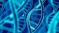El hallazgo que rompe las leyes de la biología: "Los genes no siempre se heredan solo de padres a hijos", descubren un gen que salta entre microorganismos