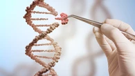 Desarrollan el primer sistema CRISPR guiado por ADN del mundo