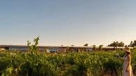Rioja o Ribera: ¿por qué elegir?