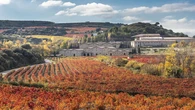 Más de 1.000 asistentes consolidan The Best of Tim Atkin MW Spain 2026 como la gran cita del vino español de alta puntuación