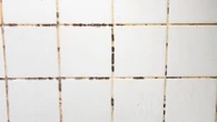 Diga adiós al moho en los azulejos de su baño: simplemente haga esto para que parezcan nuevos