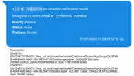 "Imagina cuánto chorizo podemos mandar": los mensajes clave de la "trama Plus Ultra"