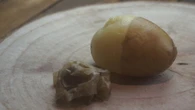 Montañas de patatas gratis en Francia: el desplome de precios amenaza también al campo español