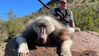 Indignación por un cazador británico que mató a un babuino albino poco común en un safari en África