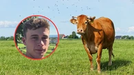 Jorge Rey, el joven burgalés que predice el tiempo con las cabañuelas, muestra su otra faceta profesional: "Se necesita gente en el campo"