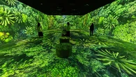 CaixaForum Madrid inaugura la experiencia inmersiva "Somos Naturaleza", para reconectar con el planeta