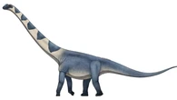 Encuentran una nueva especie de dinosaurio 4 veces mayor que el Tyrannosaurus rex
