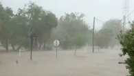 Camionero rescata a un niño desaparecido tras el huracán Beryl tras confundirlo con una muñeca de juguete