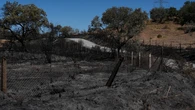 Un devastador incendio forestal arrasa cerca de mil hectáreas de la ganadería de Albarreal en Huelva