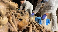 Últimos días para visitar las Catacumbas de París antes de su cierre por reformas hasta la próxima primavera