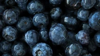 España recibió en los cuatro primeros meses de 2025 frutas y verduras marroquíes por valor de 729 millones de dólares