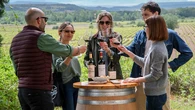 Un brindis simultáneo en 30 zonas festeja el papel de las denominaciones de origen de vino