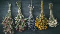 El truco definitivo para preservar el color de las flores secas y que duren más tiempo