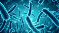 Puede cambiar la lucha contra las infecciones: descubren un antibiótico capaz de combatir las superbacterias