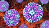 Defensa antiviral
