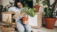 La psicología explica qué significa que una persona tenga muchas plantas en su casa