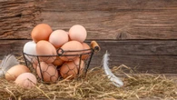 Ni de corral ni de producción doméstica: estos son los huevos que tienen más posibilidades de estar contaminados por la Gripe Aviar