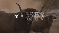 El universo culinario del restaurante El Capricho de José Gordón regresa al Jardín de los Duques Gran Meliá